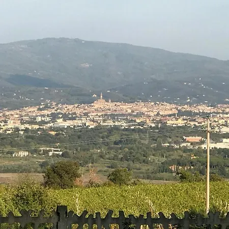 Isabel ארצו