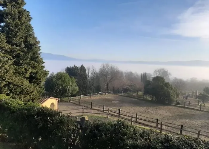 Isabel * أريتسو