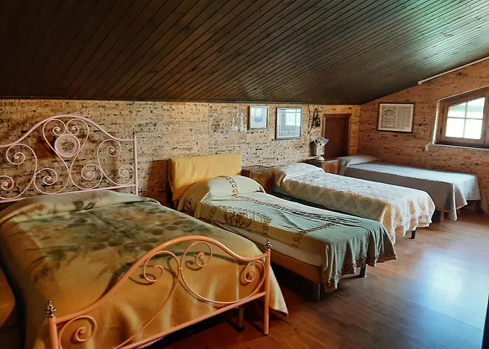 Isabel فيلة أريتسو