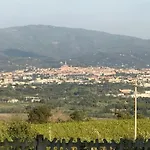 Isabel Arezzo
